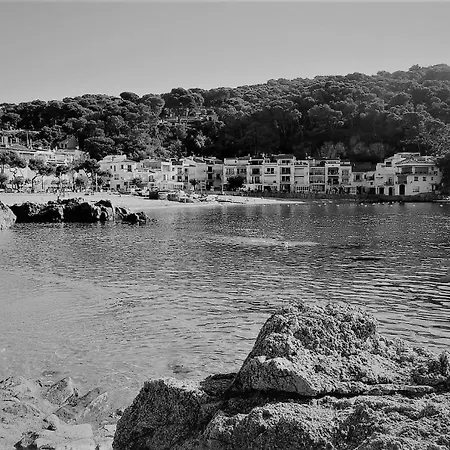 Les Dunes Vista Al Mar Frontal 3h 315 Apartment *