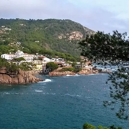 Les Dunes Vista Al Mar Frontal 3h 315 Apartment Begur